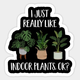 I Just Really Like Indoor Plants, Ok? Sticker